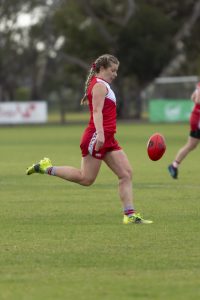 Roosters on the board