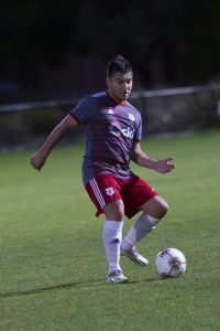 Altona North sitting pretty on top