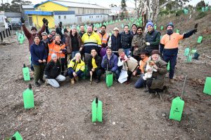 Tree planting to turnaround Brooklyn