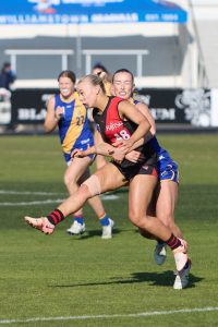 Seagulls kicking it up a gear in VFLW