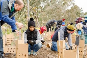Planting event to mark tree day