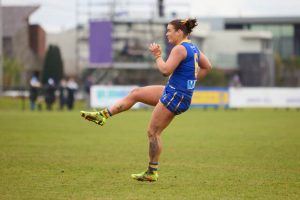 Seagulls bounce back