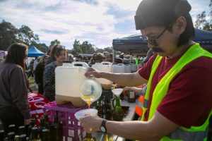Crowds flock to olive festival
