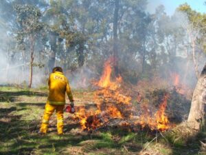 Almost half of Victorians are without a bushfire plan