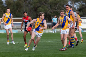 Seagulls’ season over