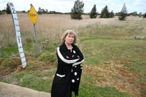 ‘Concrete jungle’ fight