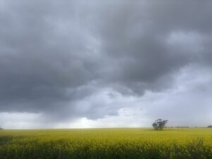 Get your home storm ready