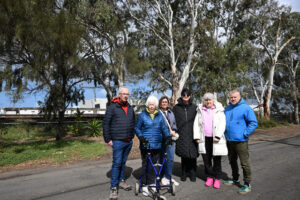 Newport tree removal dubbed ‘vandalism’