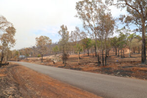 New bushfire research