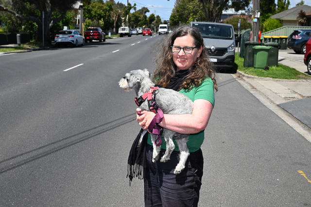 Blackshaws crossing call