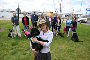 Hobsons Bay dogs to have their day