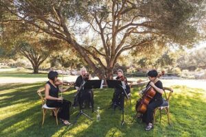 Cruickshank Park to host strings in spring this weekend