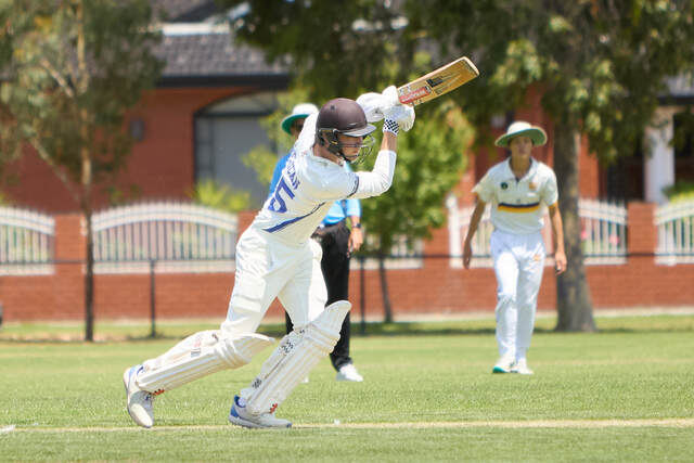 Bulldogs building nicely