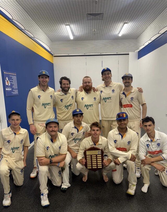 Seagulls on the board