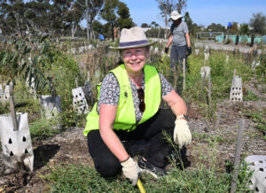 Volunteers weed ’n water in Brooklyn