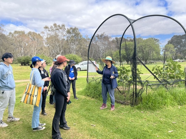 Fruity festival returns