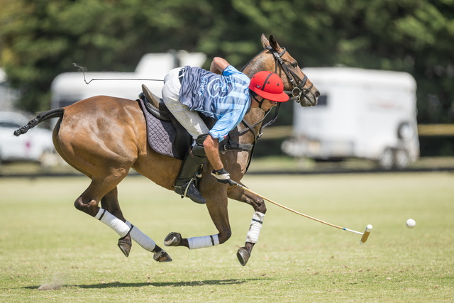The sport of kings in Werribee