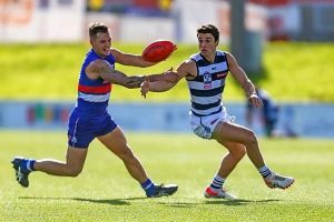 Clay Smith stars on return as Dogs bite Cats