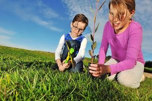 Park gets a tree change for National Tree Day
