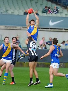 Williamstown cashes in double chance after finals hiccup