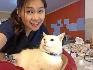 Police investigate four reports of cats being shot in Altona North