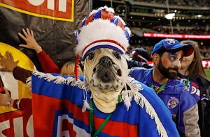 We’re all barking glad the Western Bulldogs are in the Grand Final