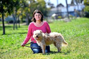 Call to let the dogs run free in Newport