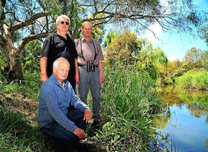 Friends bring bush back