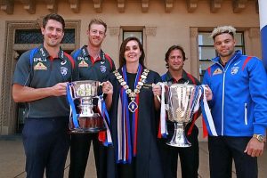 Western Bulldogs cap off premiership win with record profit