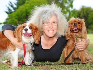 Snakes on the streets