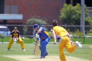Craig Sheedy remains a key plank for Williamstown into his 40s