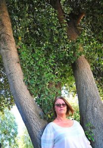 Itchy bomb tree bid rejected