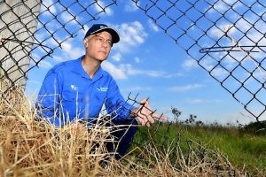 Dog act threatens wildlife