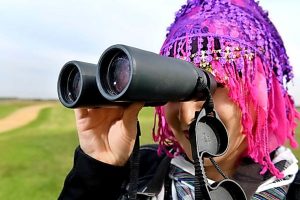 Meeting our bay birds