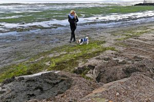 Dud call on Altona beach