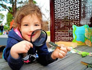 Leap into saving frogs