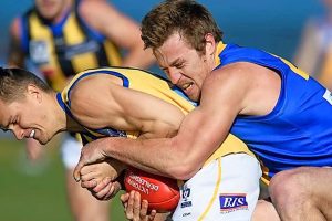 All the momentum is with Williamstown