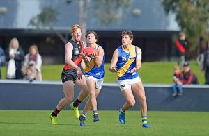 Win streak halted for Williamstown