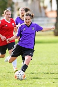 Maribyrnong Swifts flying high