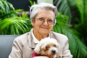 Daphne’s a guiding light