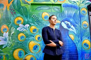 Indian Peacock plumage brightens West Footscray