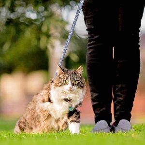 Clarrie’s date with fame