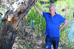 Feral goats on the loose at Brooklyn