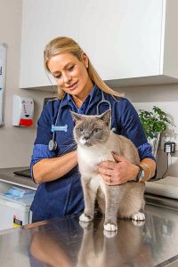 Purr-fect way to be feline fine