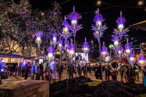 Skunk Control light up White Night