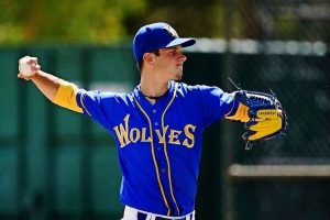 Williamstown Wolves lick their wounds