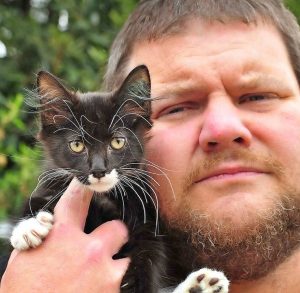 Cat fight over strays