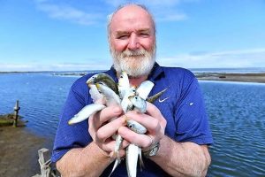 Spotswood food festival with a catch