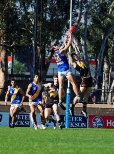 Williamstown no threat to Werribee