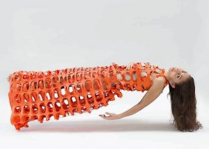 Ilona Nelson shares Wild Song vision